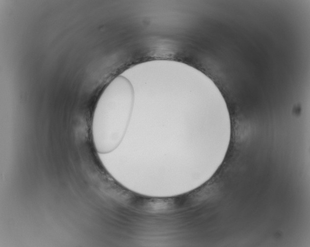 X0000111900370200907271016