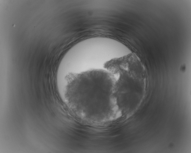 X0000111900371200907271016