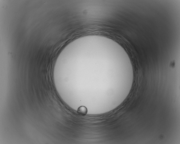 X0000111900372200907271016