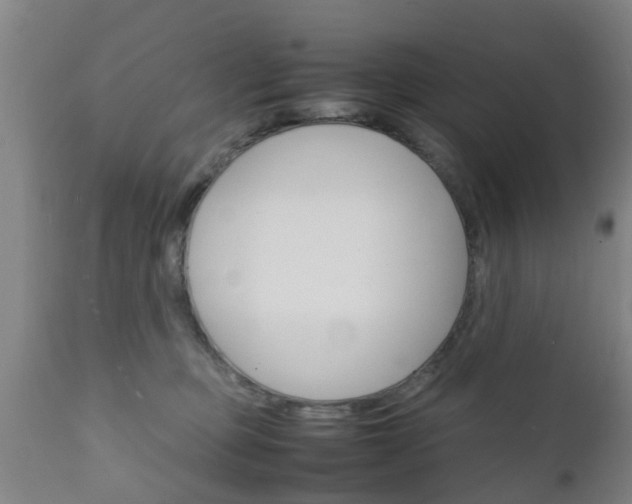 X0000111900373200907271016