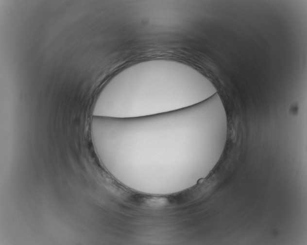X0000111900374200907271016