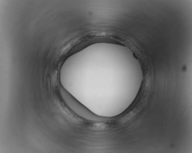 X0000111900376200907271016