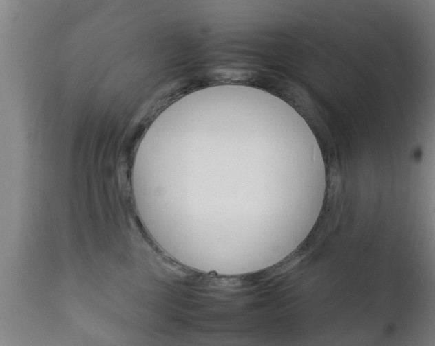 X0000111900377200907271016
