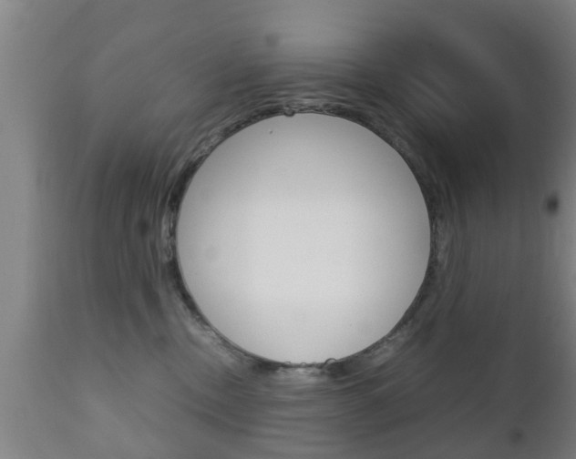 X0000111900378200907271016