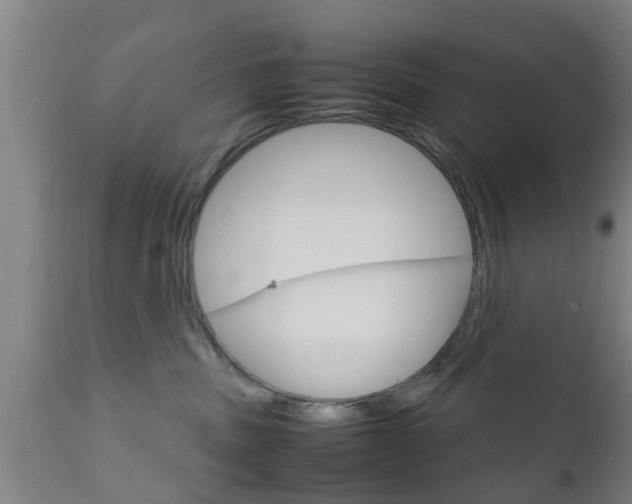 X0000111900379200907271016