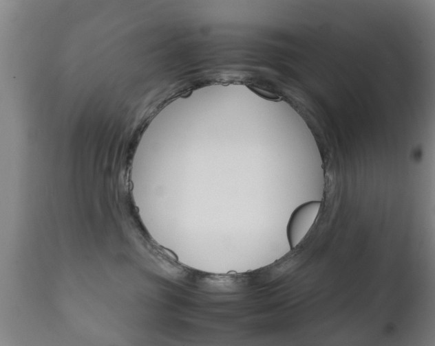 X0000111900381200907271016