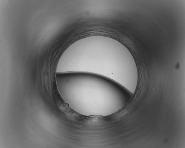 X0000111900382200907271016