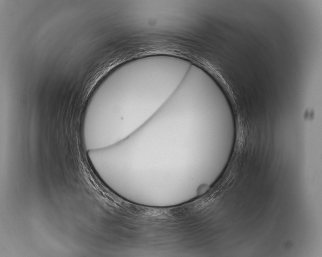 X0000111900386200907271015