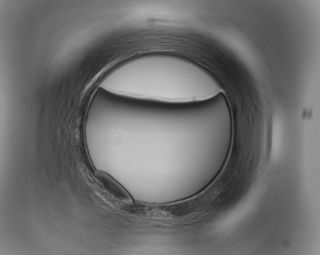X0000111900387200907271015