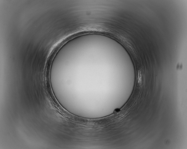 X0000111900388200907271015