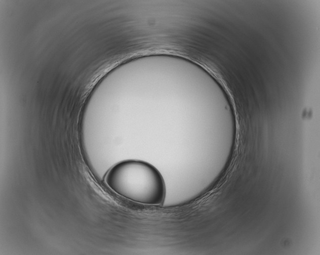 X0000111900389200907271015