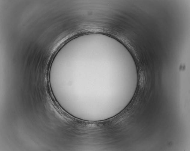 X0000111900390200907271015