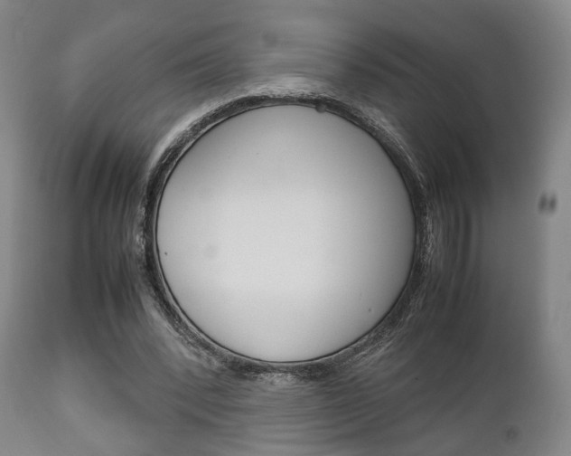 X0000111900392200907271015
