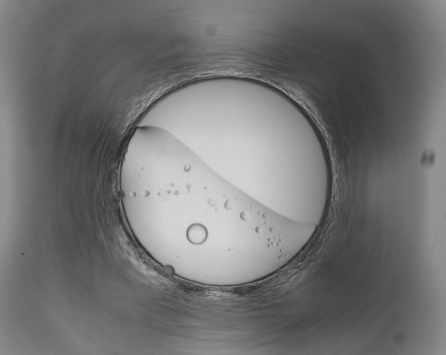 X0000111900393200907271015