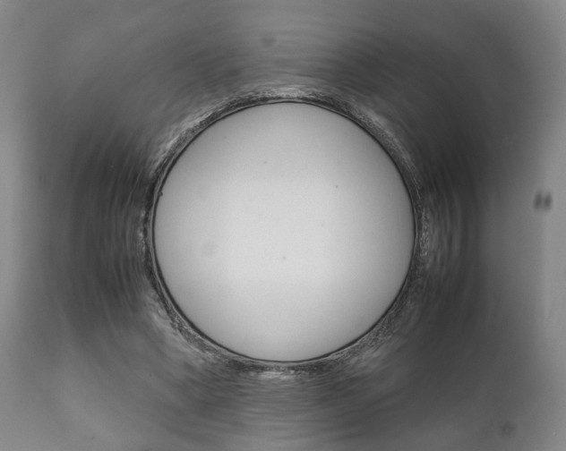 X0000111900394200907271015