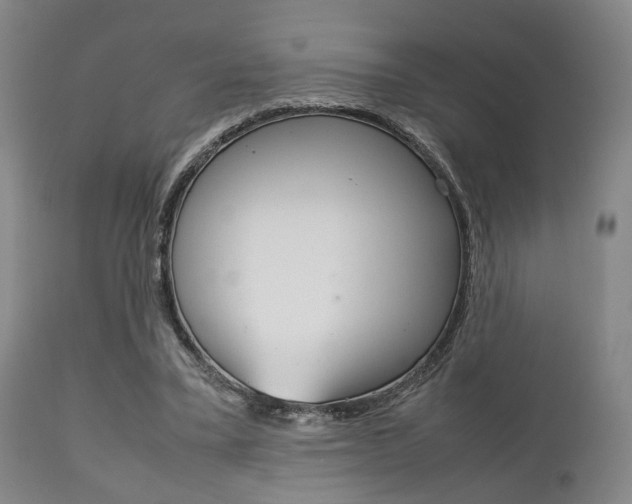 X0000111900395200907271015