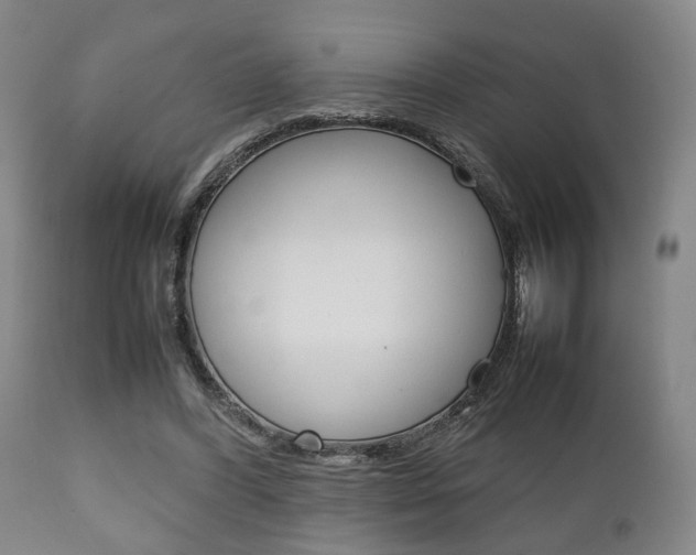 X0000111900396200907271015