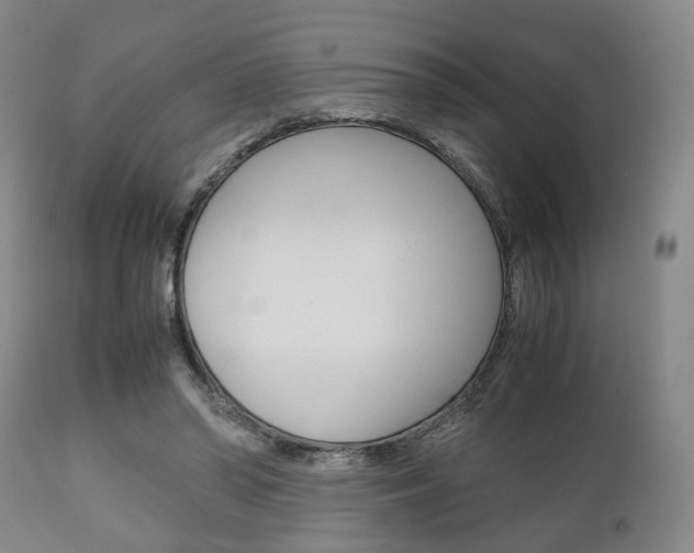 X0000111900398200907271015