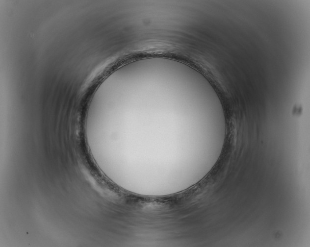 X0000111900400200907271015