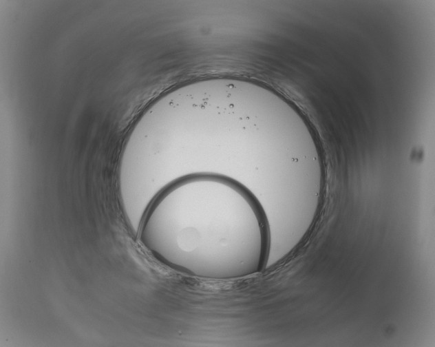 X0000111900401200907271015