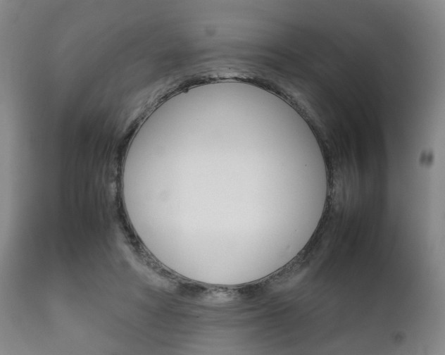 X0000111900402200907271015