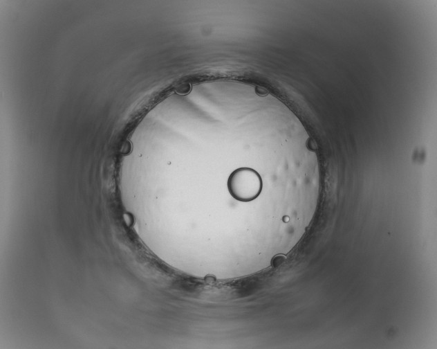 X0000111900403200907271015