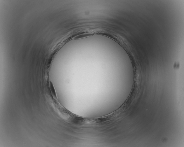 X0000111900405200907271015