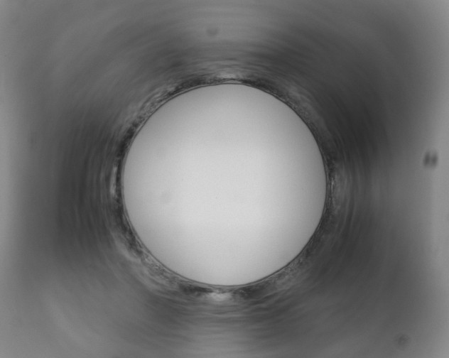 X0000111900406200907271015
