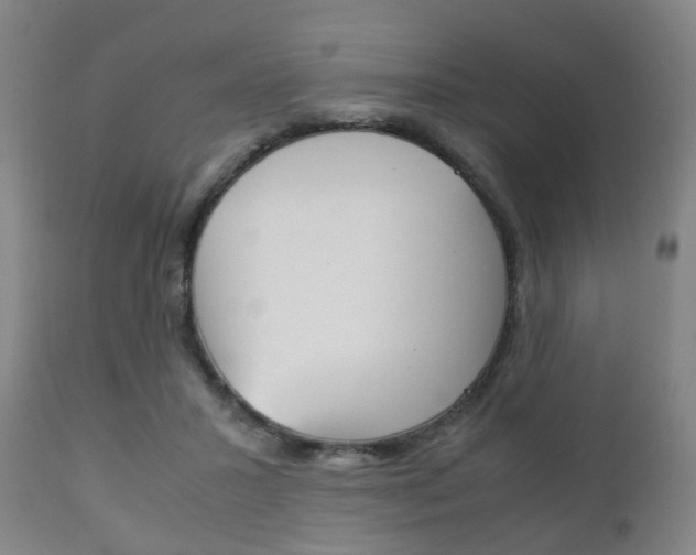 X0000111900407200907271015