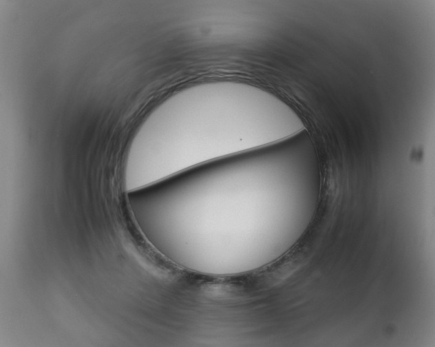 X0000111900408200907271015