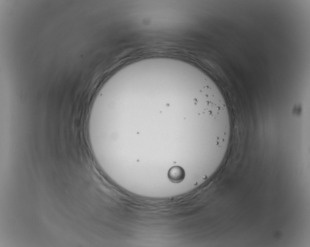 X0000111900409200907271015