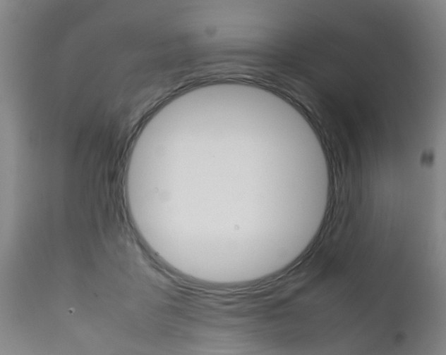 X0000111900411200907271015