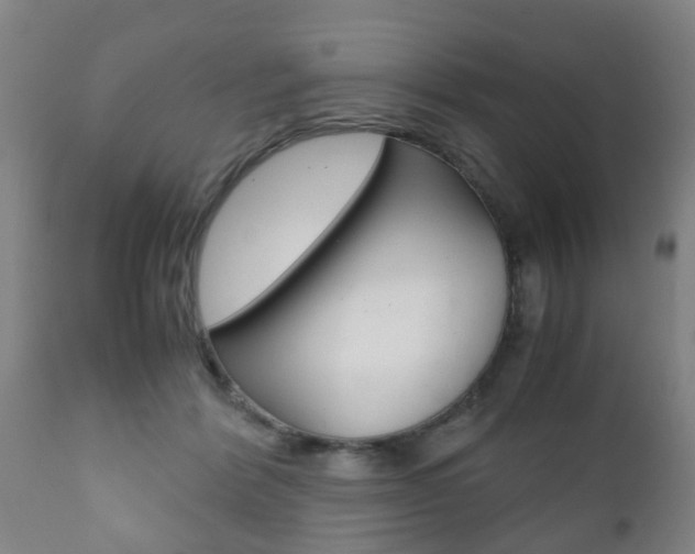 X0000111900412200907271015