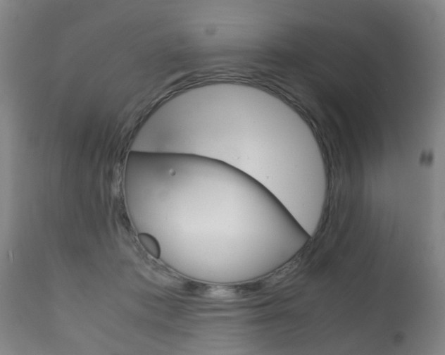 X0000111900413200907271015