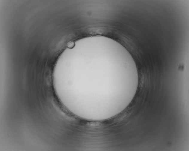 X0000111900414200907271015