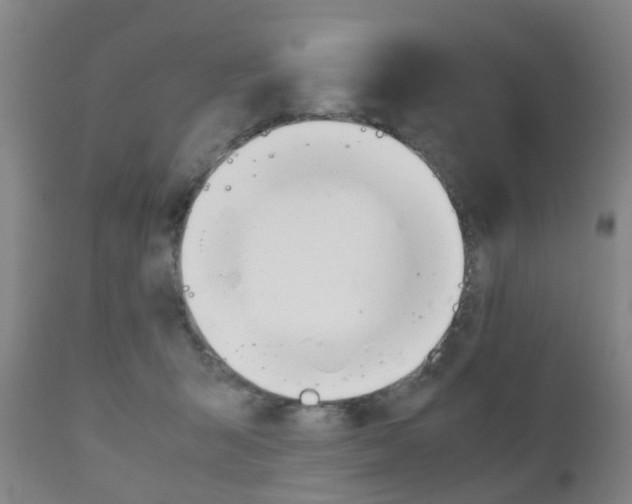 X0000111900415200907271015