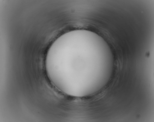 X0000111900416200907271015