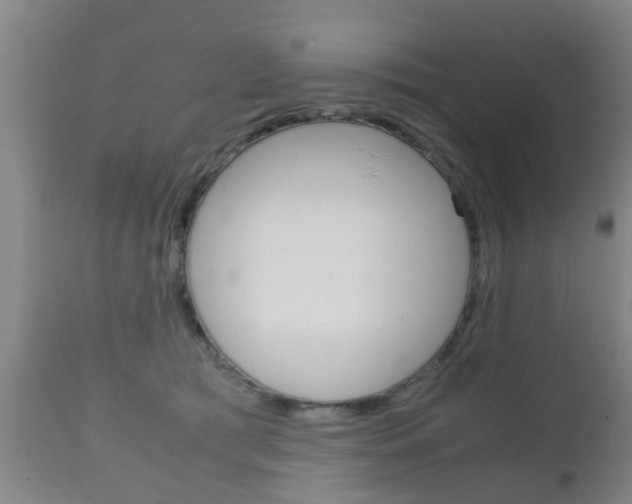 X0000111900417200907271015