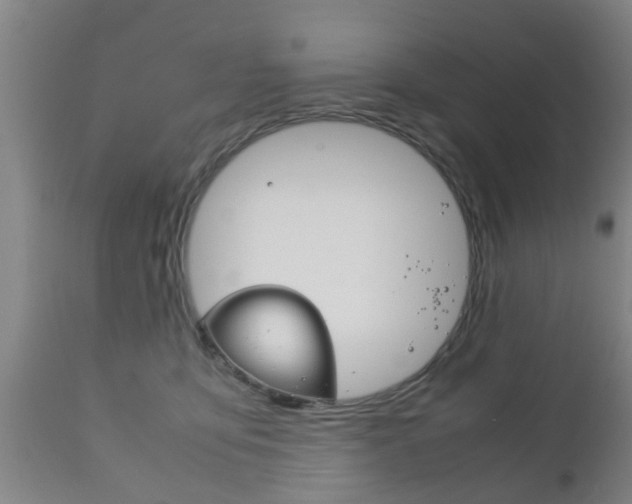 X0000111900419200907271015
