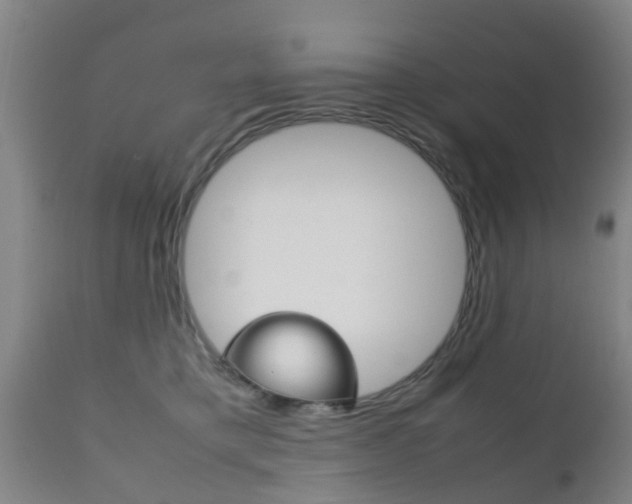 X0000111900421200907271015
