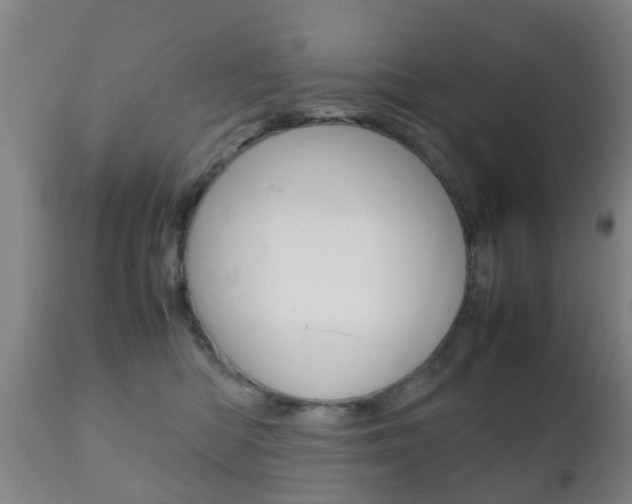 X0000111900422200907271015