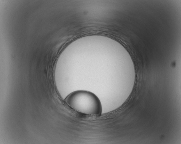X0000111900423200907271015