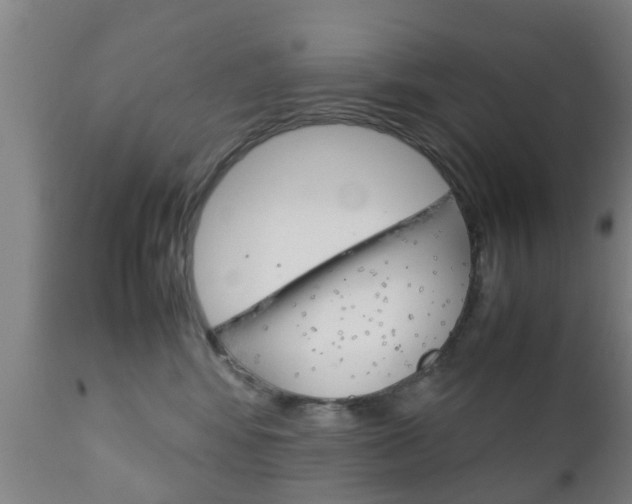 X0000111900424200907271015