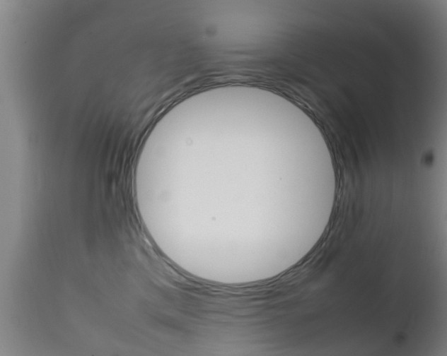 X0000111900425200907271015