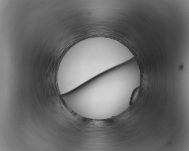 X0000111900428200907271015