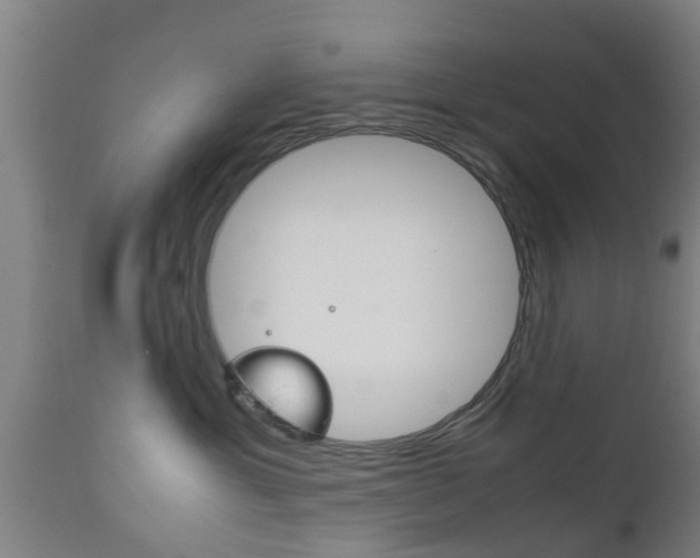 X0000111900429200907271015