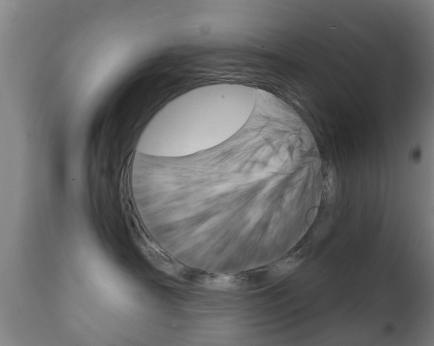 X0000111900430200907271015