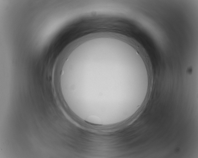 X0000111900431200907271015