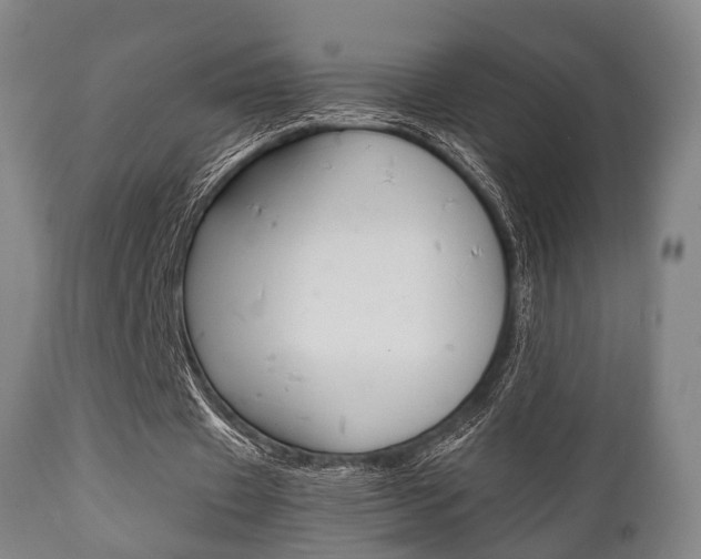 X0000111900433200907271014