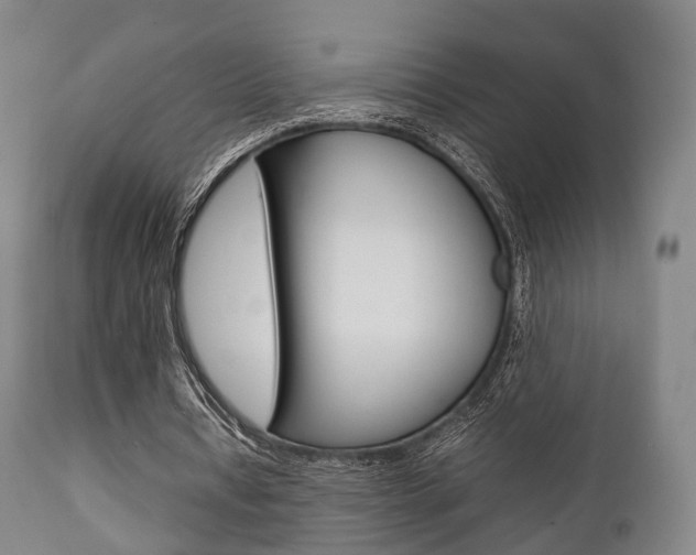 X0000111900434200907271014